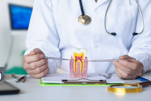 Best Emergency Dental Care for Abscessed Tooth in De Motte, IN
